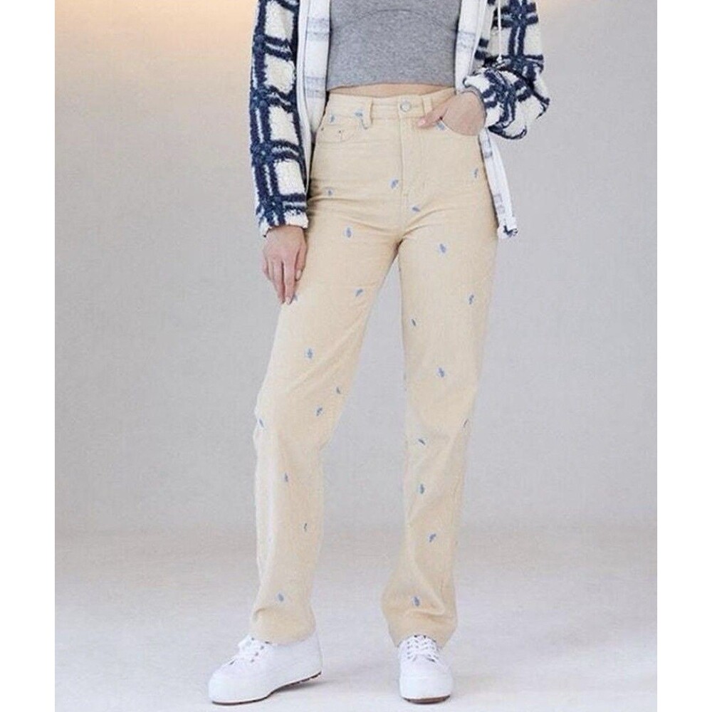 Pacsun Micro Embroidered Mushroom Cream Corduroy 90's Boyfriend Pants 25